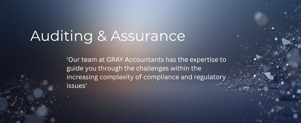 Auditing & Assurance